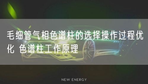 毛细管气相色谱柱的选择操作过程优化 色谱柱工作原理(图1)