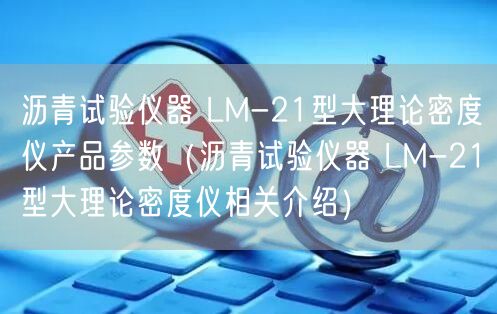 沥青试验仪器 LM-21型大理论密度仪产品参数（沥青试验仪器 LM-21型大理论密度仪相关介绍）(图1)