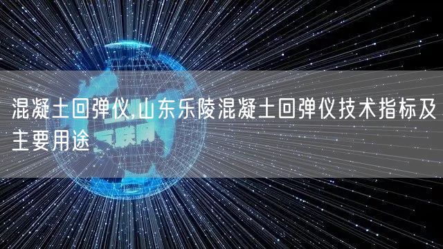 混凝土回弹仪,山东乐陵混凝土回弹仪技术指标及主要用途(图1)