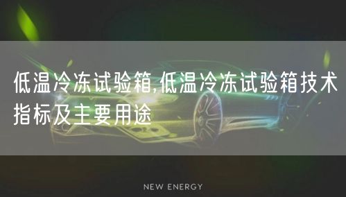 低温冷冻试验箱,低温冷冻试验箱技术指标及主要用途(图1)