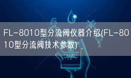 FL-8010型分流阀仪器介绍(FL-8010型分流阀技术参数)(图1)
