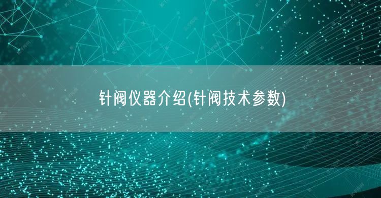 针阀仪器介绍(针阀技术参数)(图1)