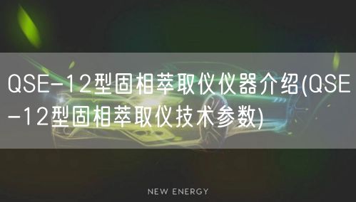 QSE-12型固相萃取仪仪器介绍(QSE-12型固相萃取仪技术参数)(图1)