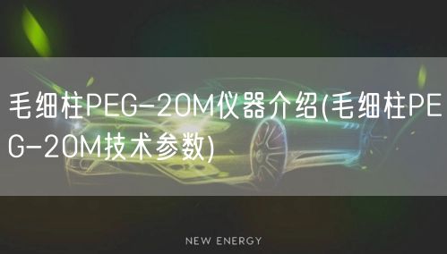 毛细柱PEG-20M仪器介绍(毛细柱PEG-20M技术参数)(图1)
