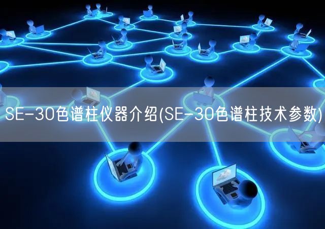 SE-30色谱柱仪器介绍(SE-30色谱柱技术参数)(图1)