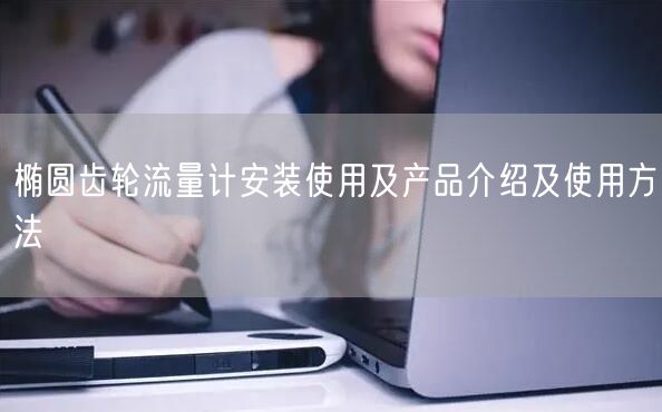 椭圆齿轮流量计安装使用及产品介绍及使用方法(图1)