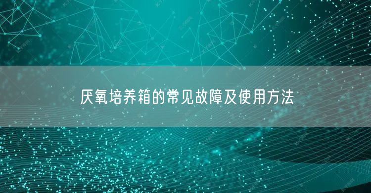 厌氧培养箱的常见故障及使用方法(图1)