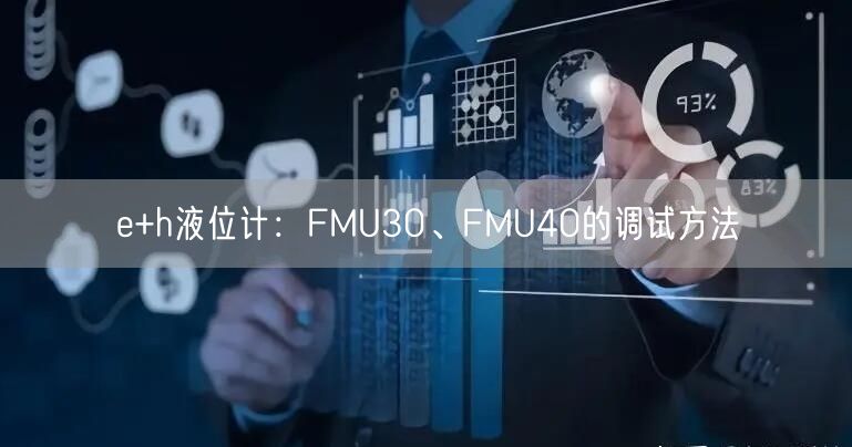 e+h液位计：FMU30、FMU40的调试方法(图1)
