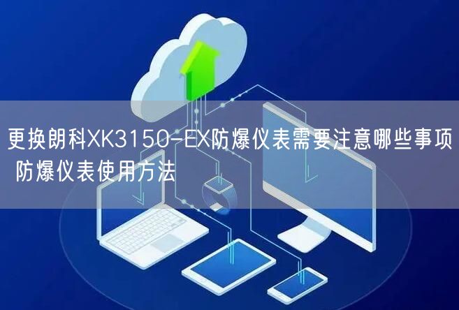 更换朗科XK3150-EX防爆仪表需要注意哪些事项 防爆仪表使用方法(图1) 更换朗科XK3150-EX防爆仪表需要注意哪些事项 防爆仪表使用方法(图1)