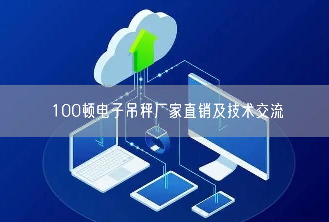 100顿电子吊秤厂家直销及技术交流(图1)