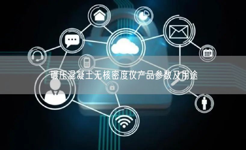 碾压混凝土无核密度仪产品参数及用途(图1)