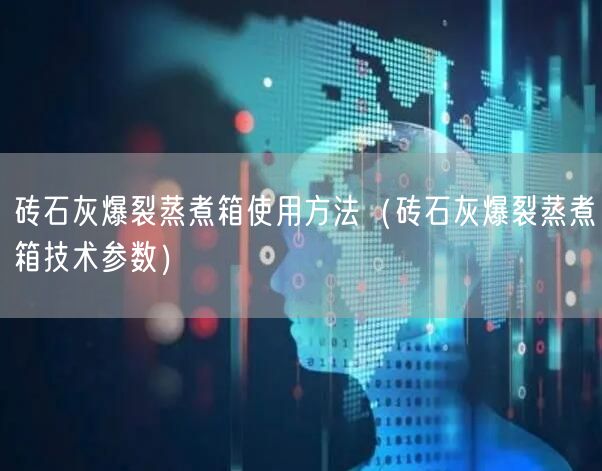 砖石灰爆裂蒸煮箱使用方法（砖石灰爆裂蒸煮箱技术参数）(图1)