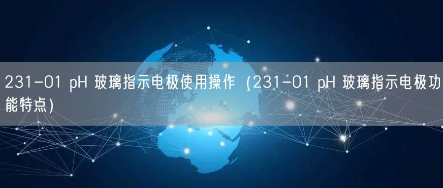231-01 pH 玻璃指示电极使用操作（231-01 pH 玻璃指示电极功能特点）(图1)
