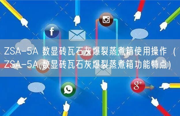 ZSA-5A 数显砖瓦石灰爆裂蒸煮箱使用操作（ZSA-5A 数显砖瓦石灰爆裂蒸煮箱功能特点）(图1)