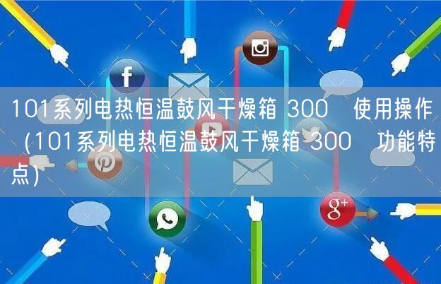 101系列电热恒温鼓风干燥箱 300℃使用操作（101系列电热恒温鼓风干燥箱 300℃功能特点）(图1)