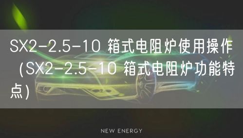 SX2-2.5-10 箱式电阻炉使用操作（SX2-2.5-10 箱式电阻炉功能特点）(图1)