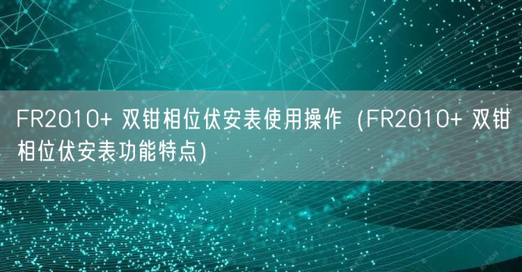 FR2010+ 双钳相位伏安表使用操作（FR2010+ 双钳相位伏安表功能特点）(图1)