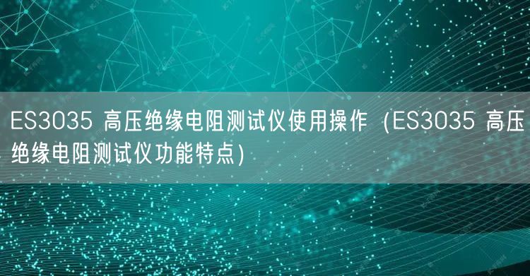 ES3035 高压绝缘电阻测试仪使用操作（ES3035 高压绝缘电阻测试仪功能特点）(图1)
