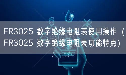 FR3025 数字绝缘电阻表使用操作（FR3025 数字绝缘电阻表功能特点）(图1)
