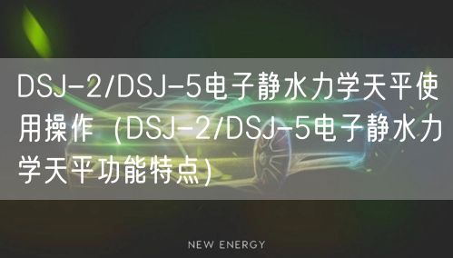 DSJ-2/DSJ-5电子静水力学天平使用操作（DSJ-2/DSJ-5电子静水力学天平功能特点）(图1)