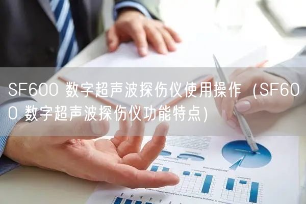 SF600 数字超声波探伤仪使用操作（SF600 数字超声波探伤仪功能特点）(图1)