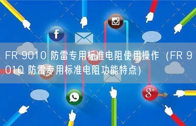FR 9010 防雷专用标准电阻使用操作（FR 9010 防雷专用标准电阻功能特点）(图1)