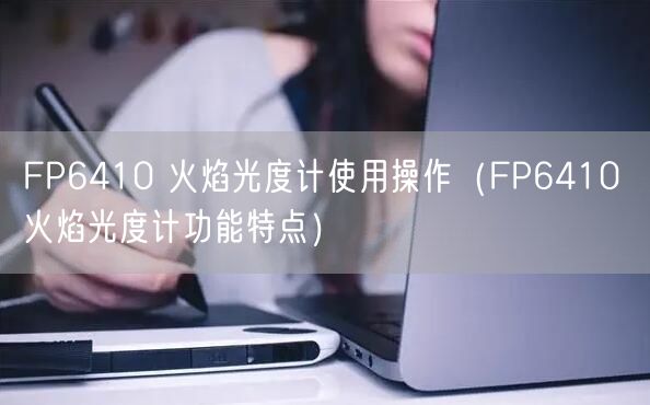 FP6410 火焰光度计使用操作（FP6410 火焰光度计功能特点）(图1)