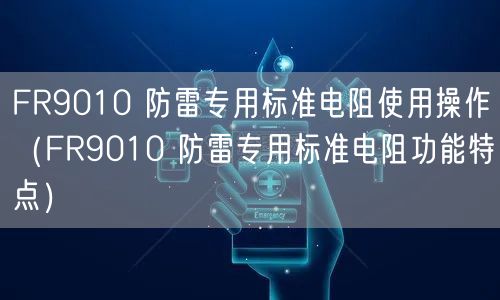 FR9010 防雷专用标准电阻使用操作（FR9010 防雷专用标准电阻功能特点）(图1)