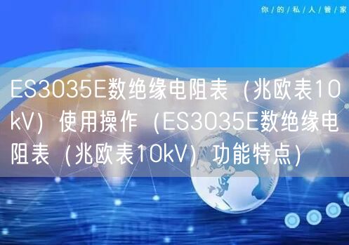 ES3035E数绝缘电阻表（兆欧表10kV）使用操作（ES3035E数绝缘电阻表（兆欧表10kV）功能特点）(图1)